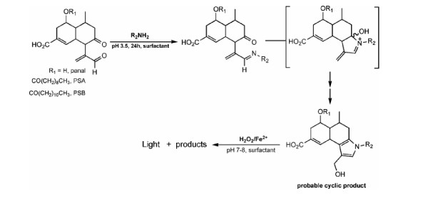 10–11 PEARSON_Figure 2.jpg